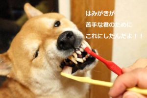 はみがききらい