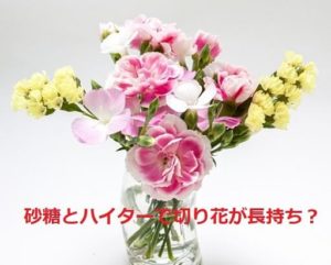 切り花を長持ちさせる方法