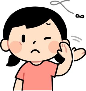 うるさいコバエ