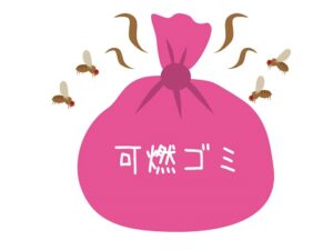 ゴミに群がるコバエ