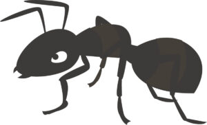 アリのイラスト