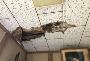 修繕の必要な天井